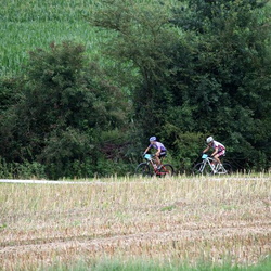 VTT