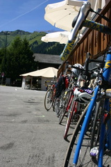 IMG 0470