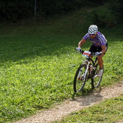 VTT