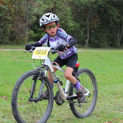 VTT