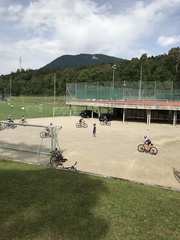 IMG 4658