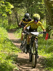 TTSV7152