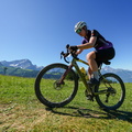 IMG 4786